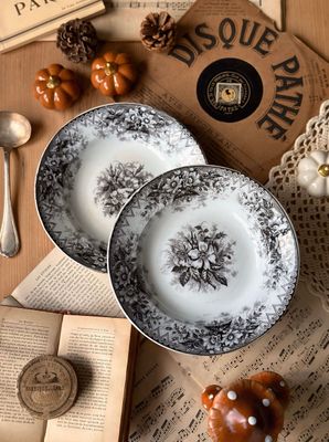 Duo d'assiettes  Duo d'assiettes "Eglantine" - K&G Luneville