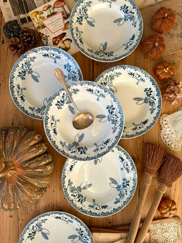 6 assiettes creuses "Modern Style" - Saint Amand