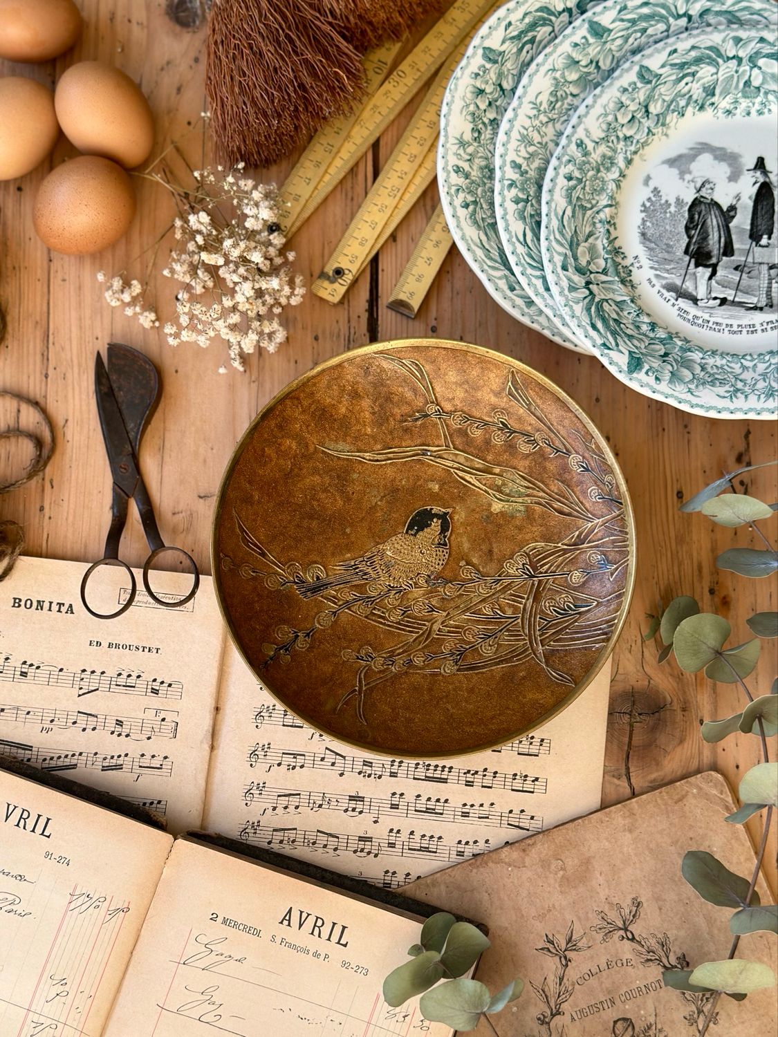 Coupe sur pied - Oiseaux