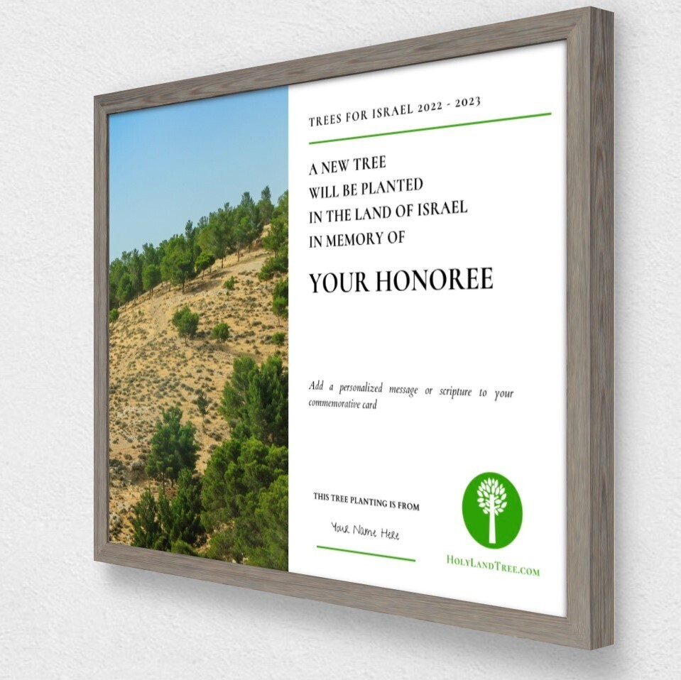 Plant a Tree in Israel with Framed Commemorative Card