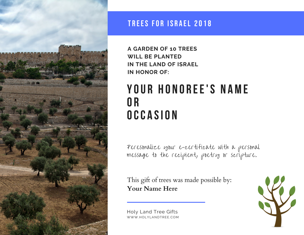 plant a tree in israel certificate