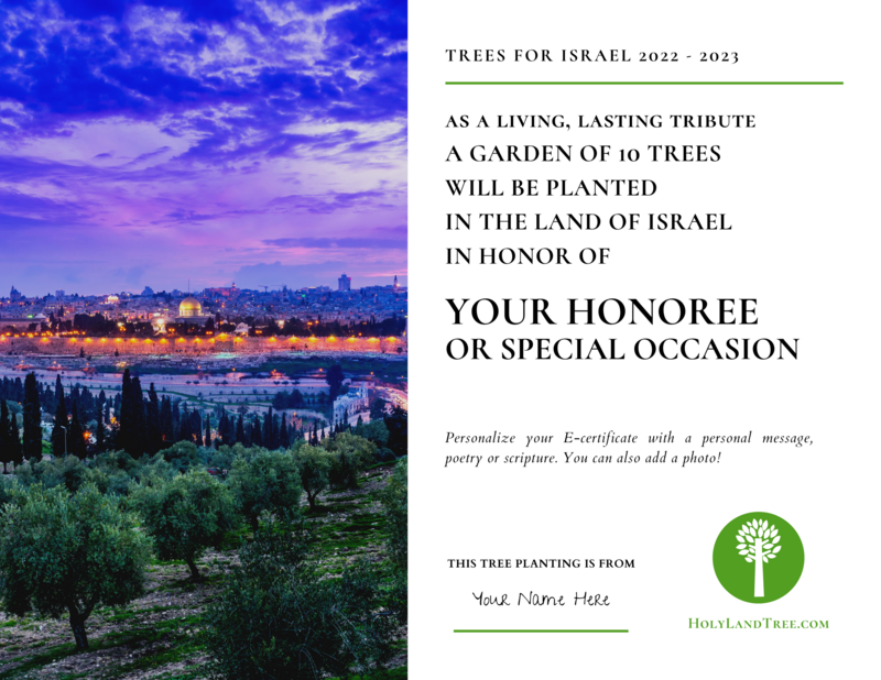 Plant a Tree in Israel with Custom E-Certificate (Digital Delivery)