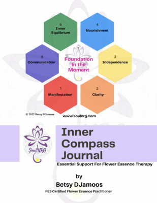 Inner Compass Guide Journal & Workbook
