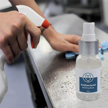 Antibacterial Sanitising Hand Spray 100ml