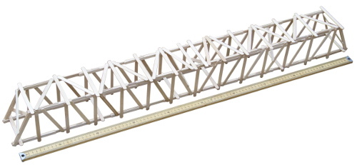 1 Meter Popsicle Stick Bridge