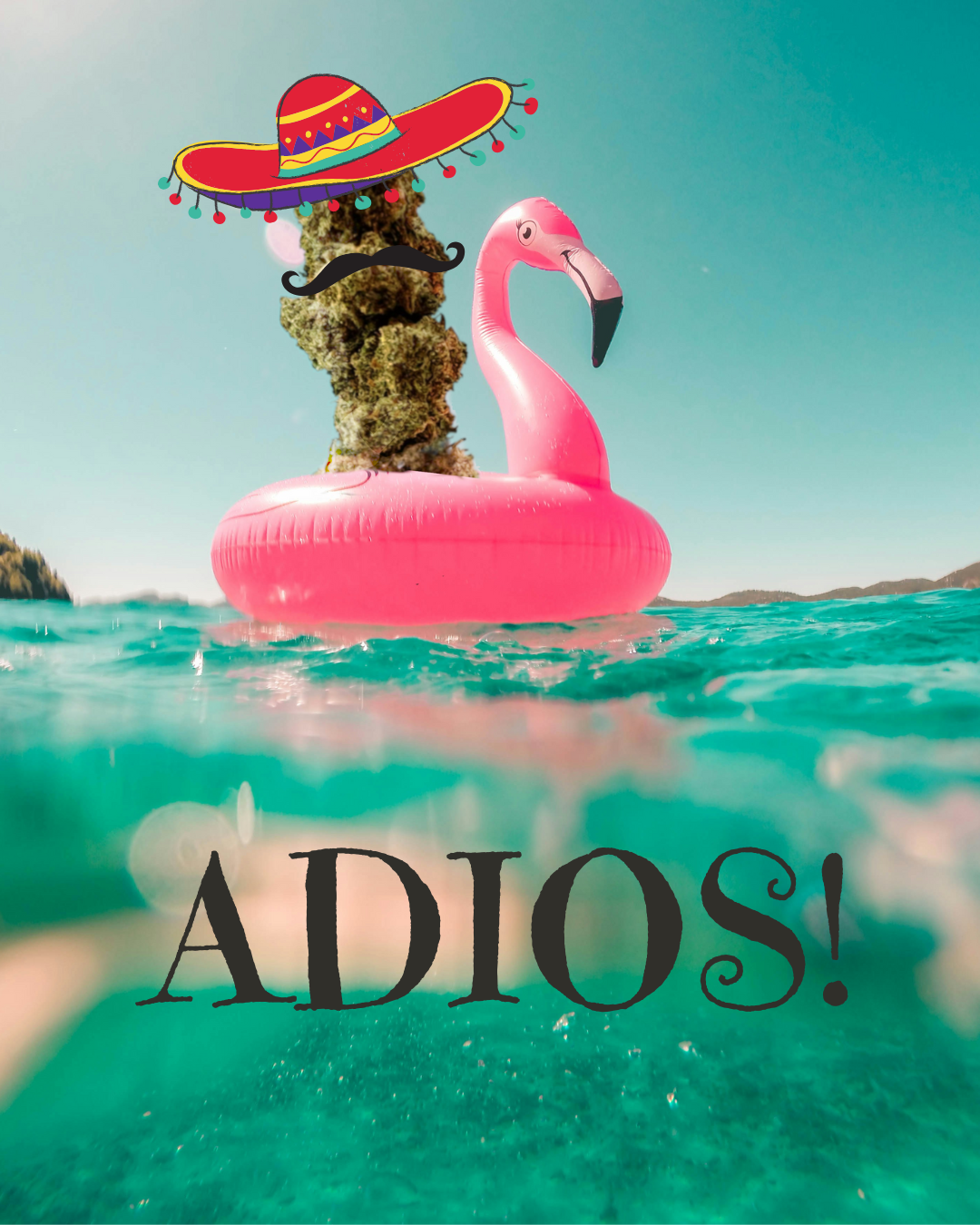 Adios