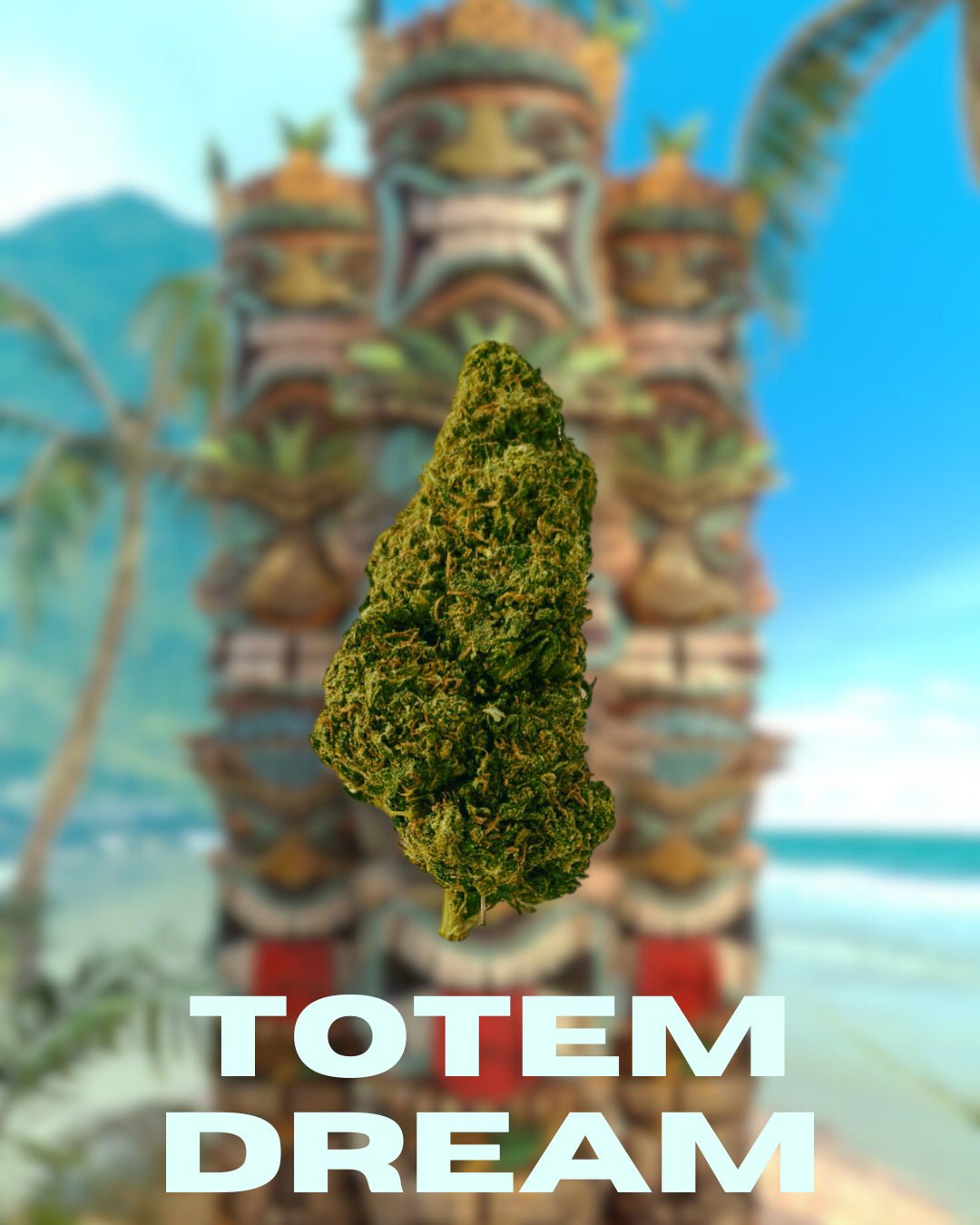 Totem Dream