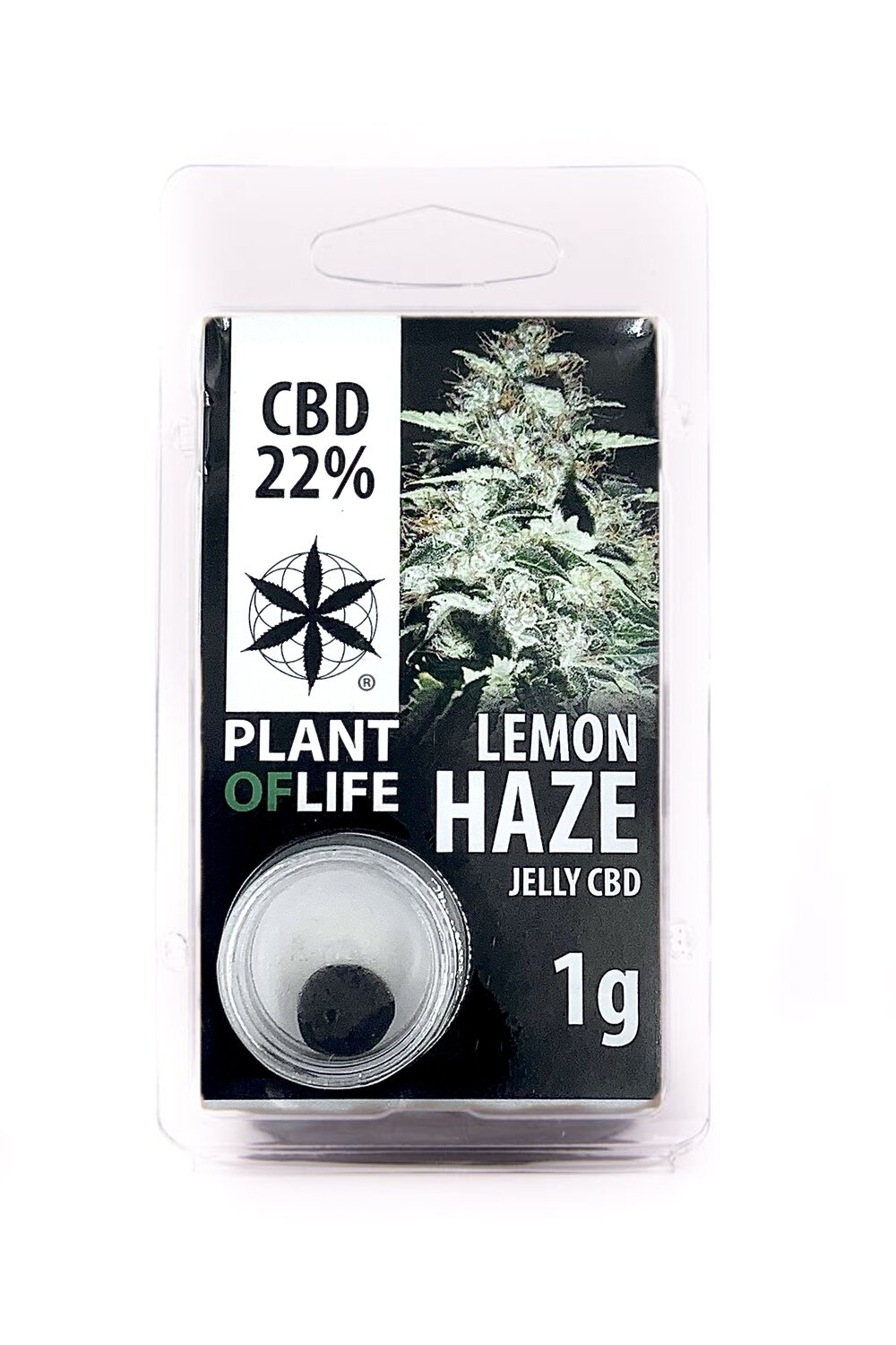 Résine Lemon Haze 1 G Plant of life 22% CBD