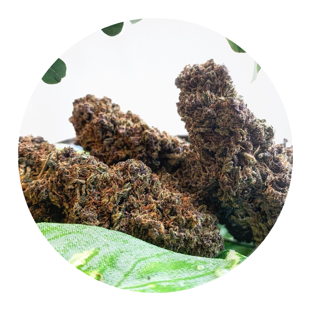 Puffle Haze Indoor Hydro 8% CBD à partir de 4€/G, Fleurs au poids: 1G