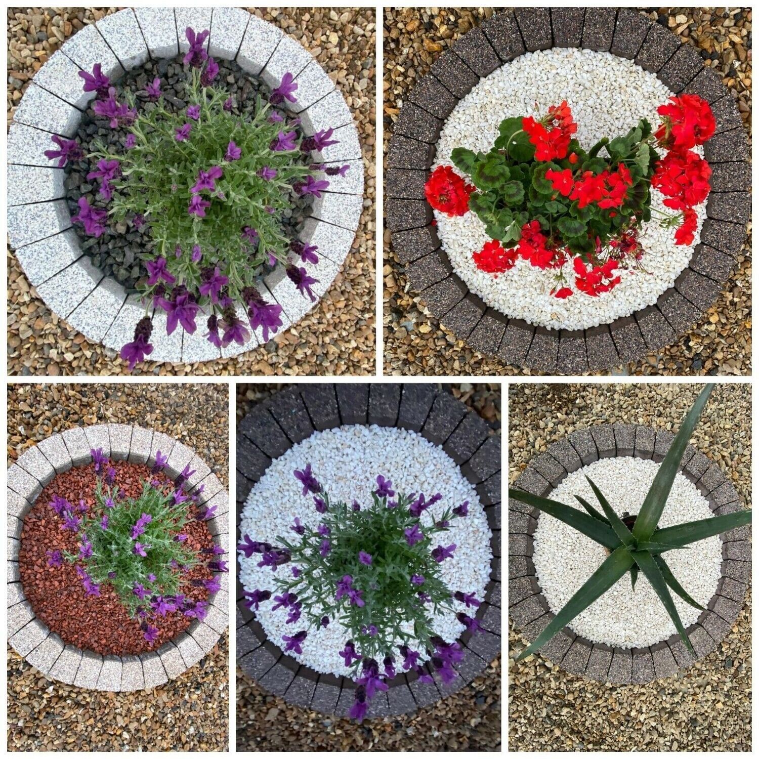 160 cm Edging circle