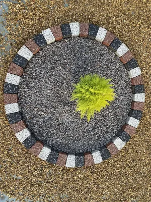Three colours garden circles