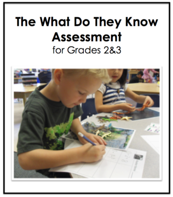 What Do They Know Assessment for 2&amp;3