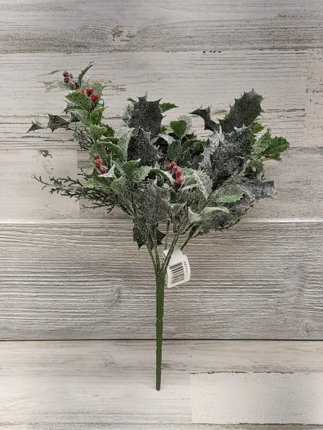 13&quot; Mini Holly Bush