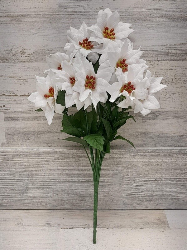 17&quot; Mini Poinsettia Bush x12 White