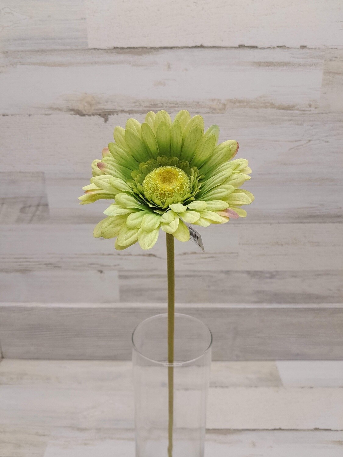 23&quot; Gerbera Daisy Stem Green