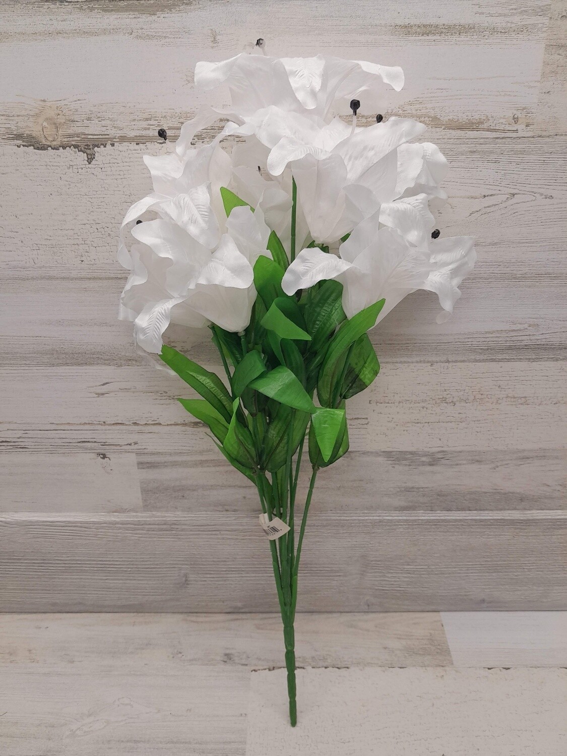 24&quot; Lily Bush x9 White