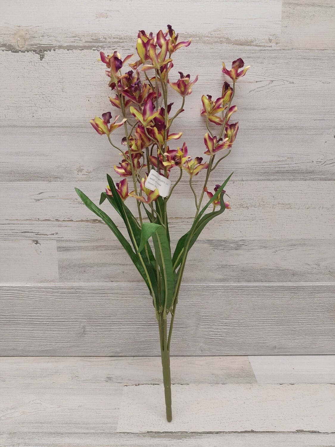 23&quot; Cymbidium Orchid Bush x5 Purple