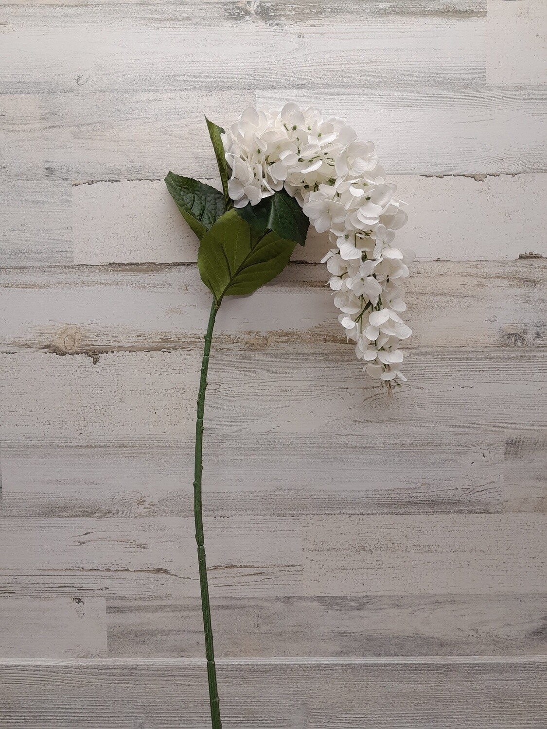 46&quot; Weeping Cone Hydrangea White
