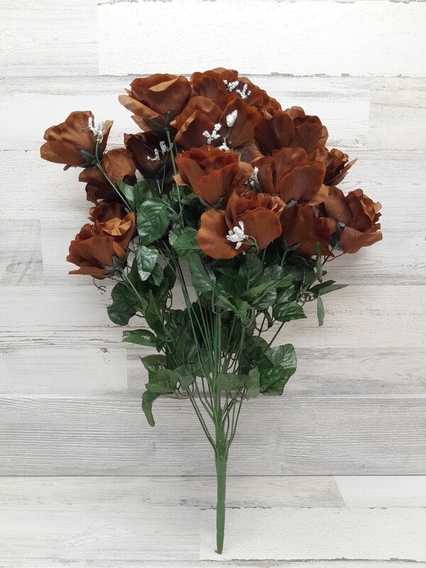 25&quot; Rose Bush x24 w/Dew Chocolate