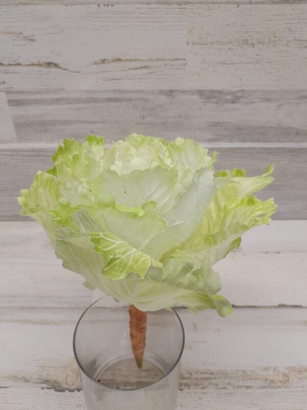 10&quot; Cabbage w/21 Leaves Green/White