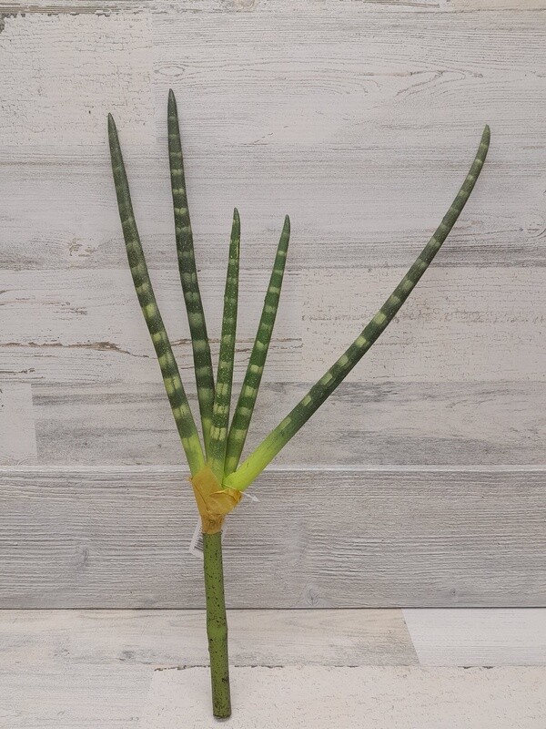 21.5&quot; African Spear Plant Green