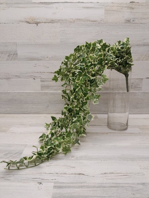 33&quot; Variegated Ivy Needle Point Bush Green