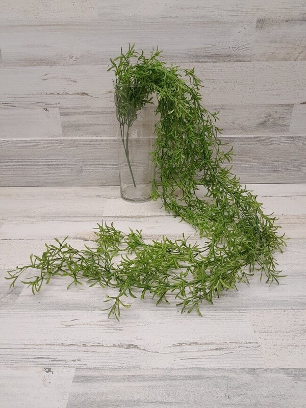 61&quot; Hanging Podocarpus Bushx5 Green