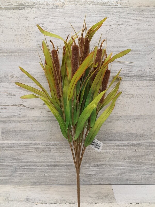 20&quot;x12&quot; Cattail Bush Brown
