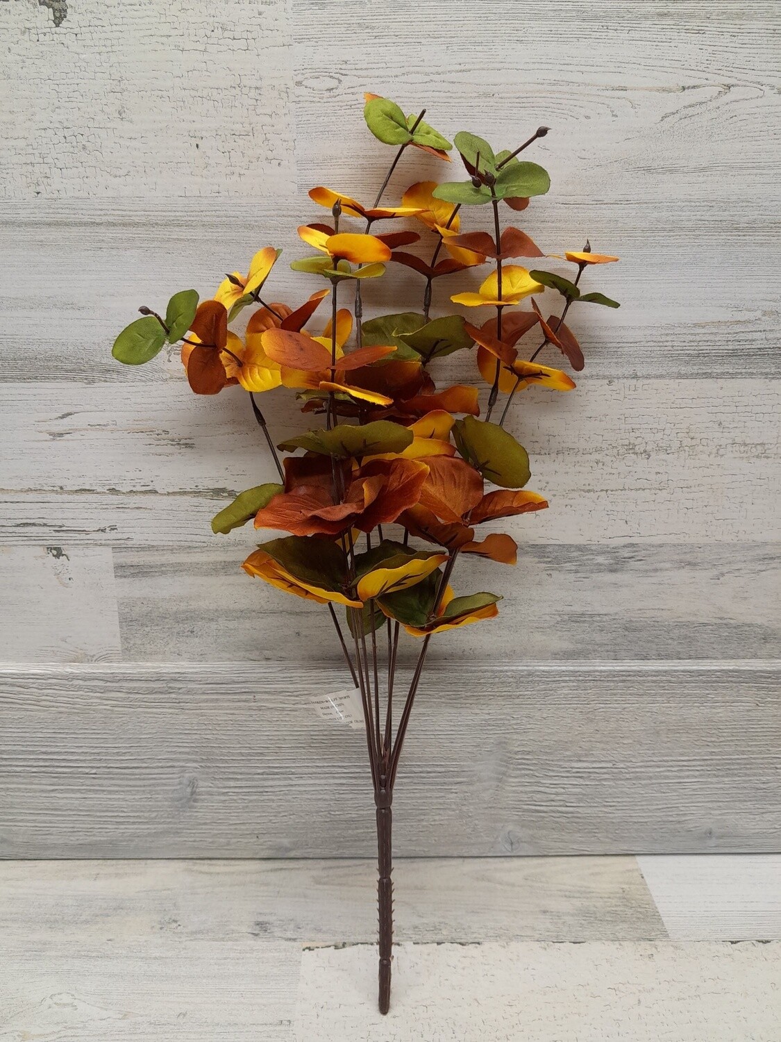 Eucalyptus Bush x8 Mix