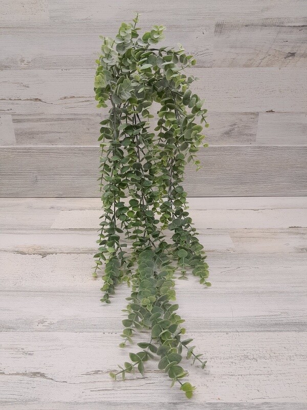 31&quot; Eucalyptus Hanging Bush Frosted Green