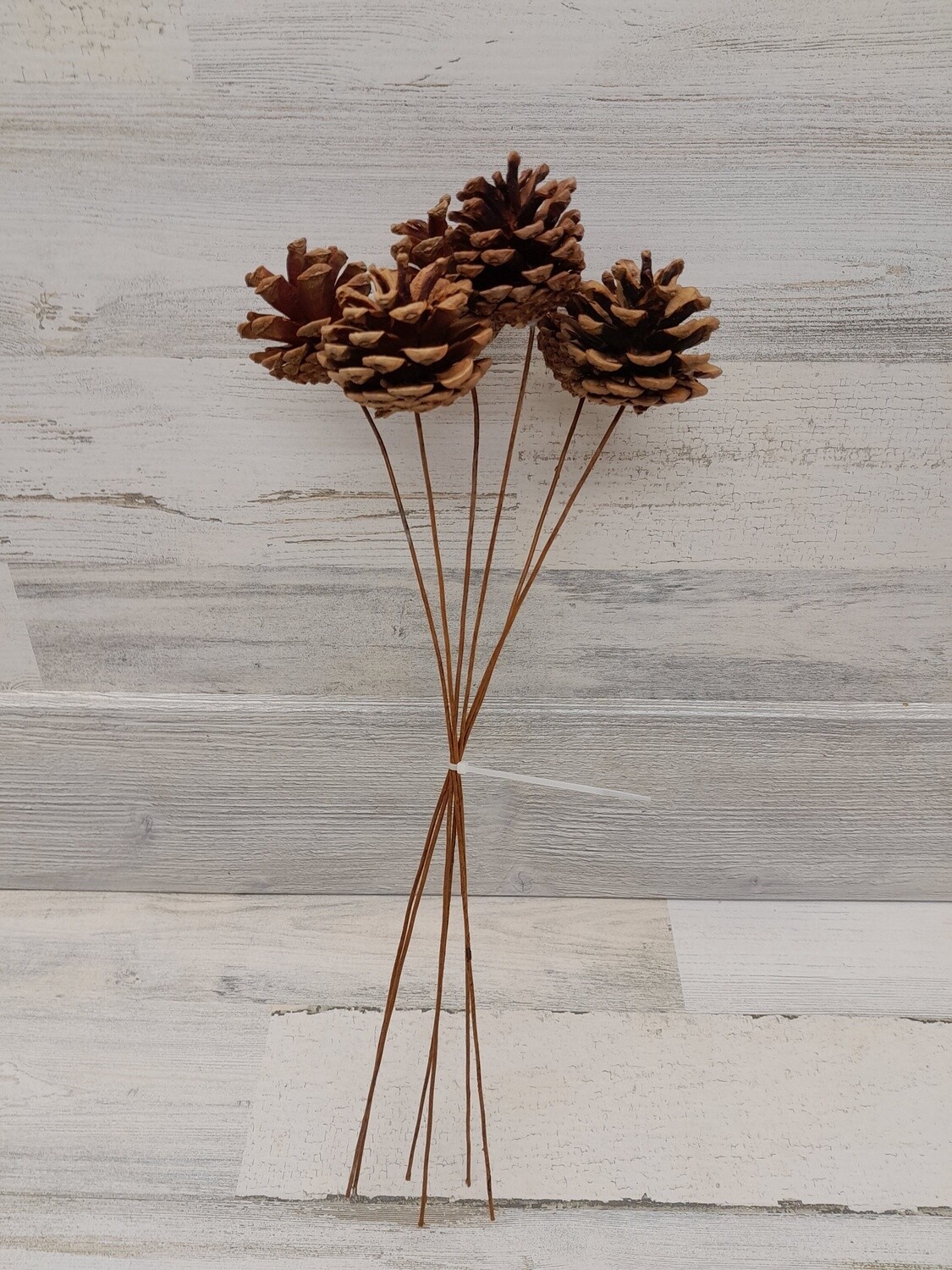 6pc 16&quot; Pinecone Pick
