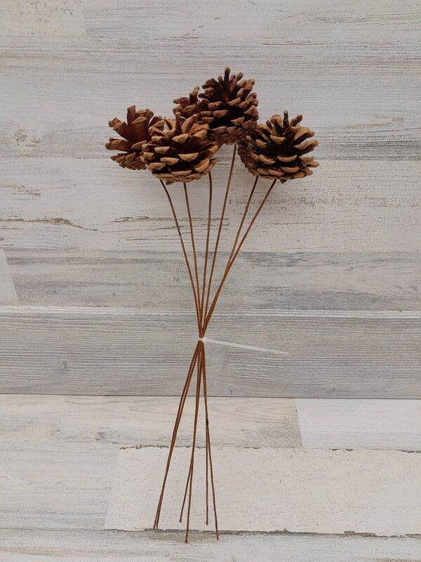 6pc 16&quot; Pinecone Pick