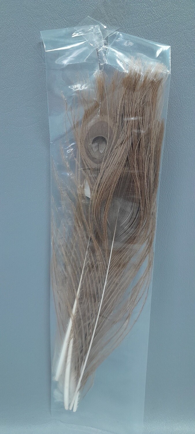 5pc Peacock Feathers Gold/Iridescent
