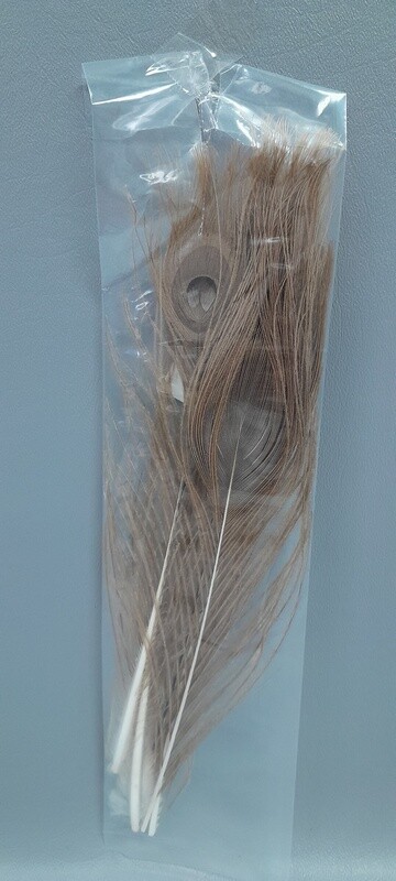 5pc Peacock Feathers Gold/Iridescent