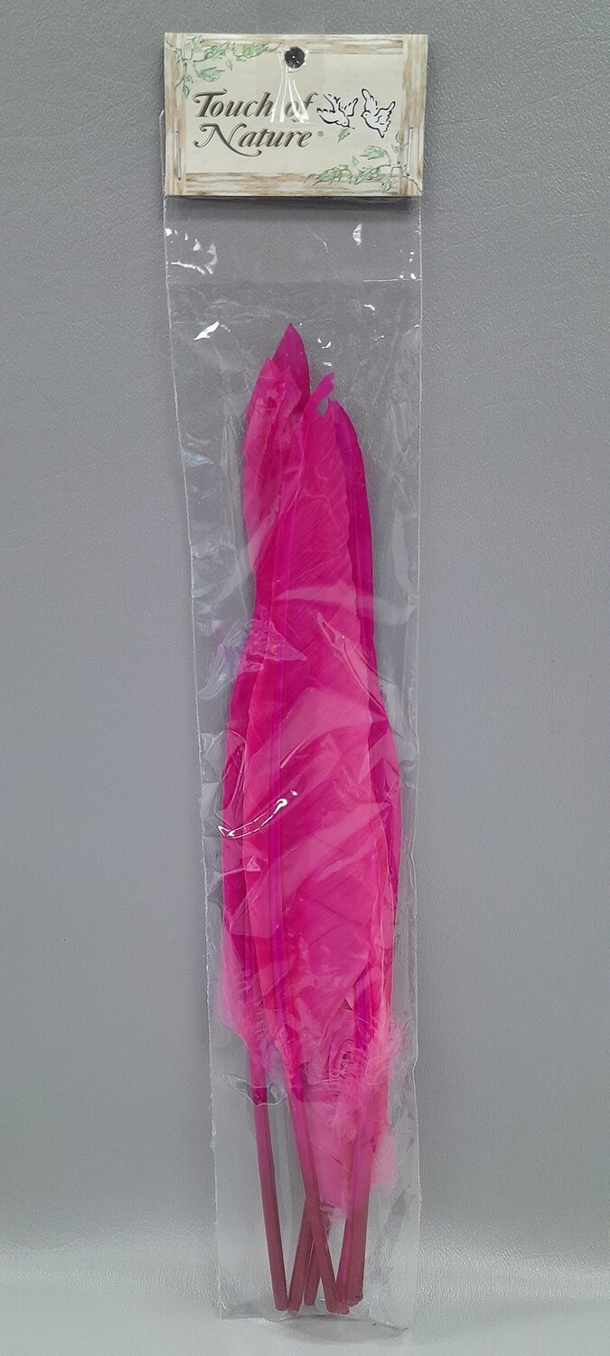 6pc Indian Feathers Hot Pink