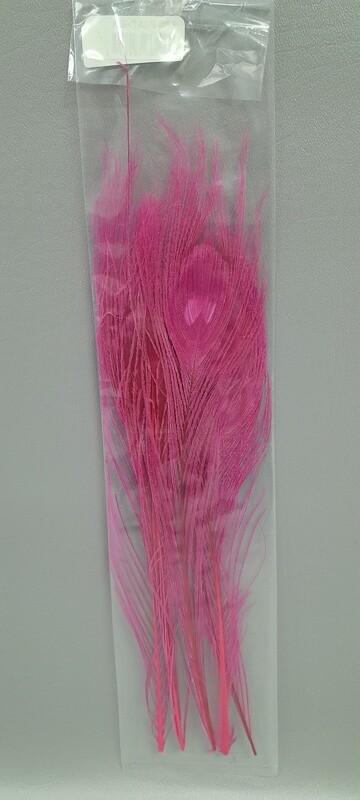 5pc Peacock Feathers Hot Pink