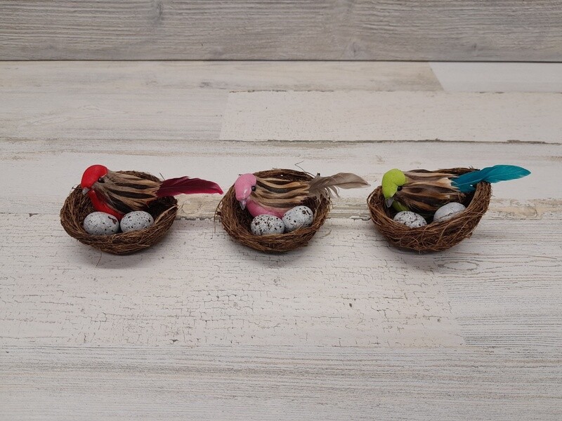 1pc 3&quot; Nest w/Bird &amp; Eggs Assorted