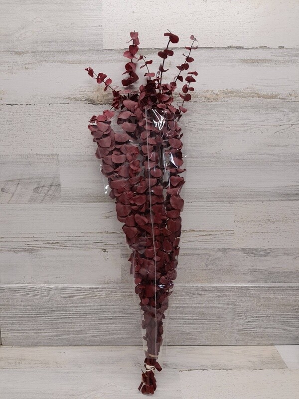 24&quot; 4oz Dried Eucalyptus Bundle Red