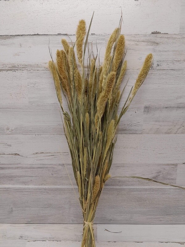 4oz Setaria Natural