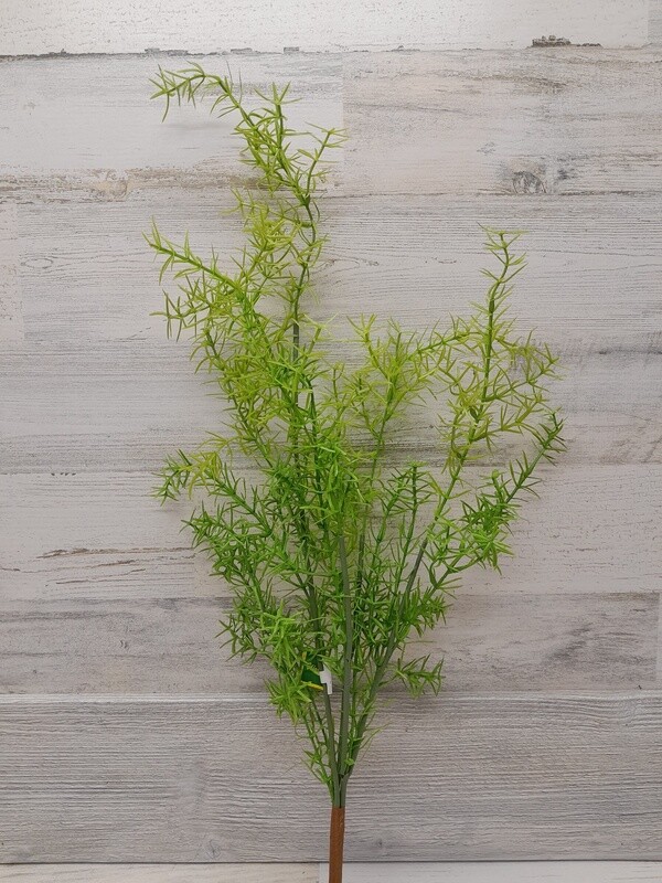 27&quot; Sprengeri Hanging Bush