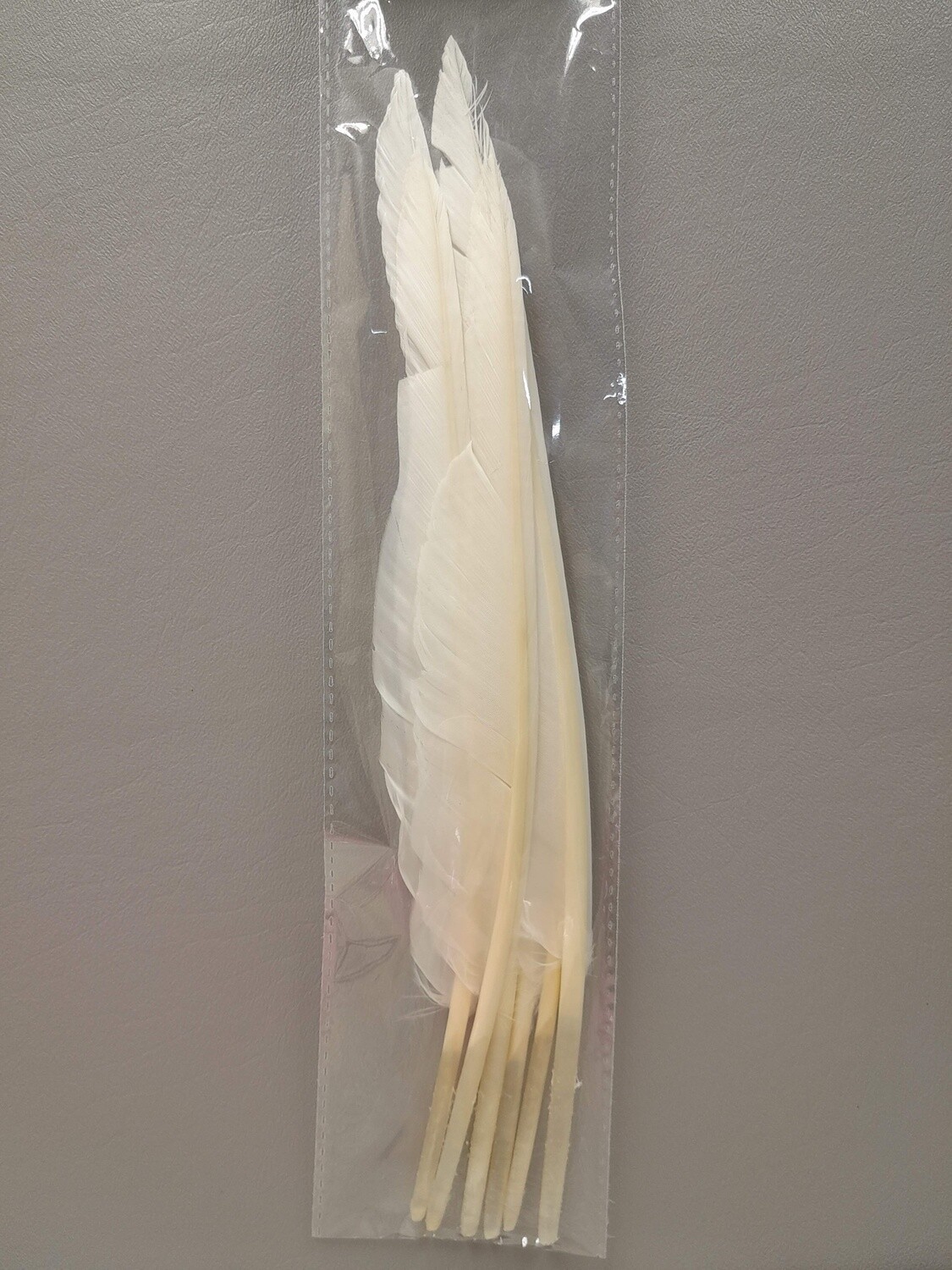 6pc 10&quot;-12&quot; Goose Feathers White