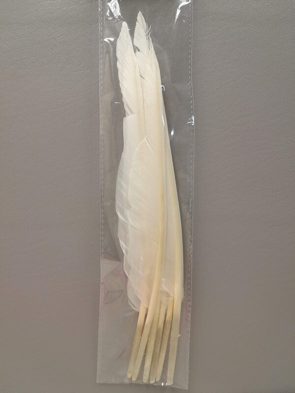 6pc 10&quot;-12&quot; Goose Feathers White