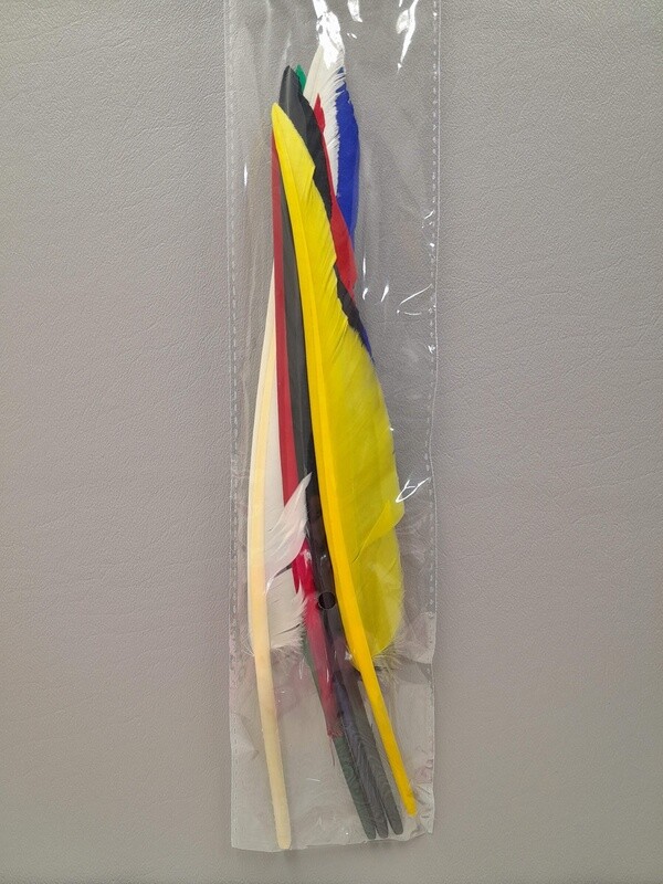 6pc 10&quot;-12&quot; Goose Feathers Assorted