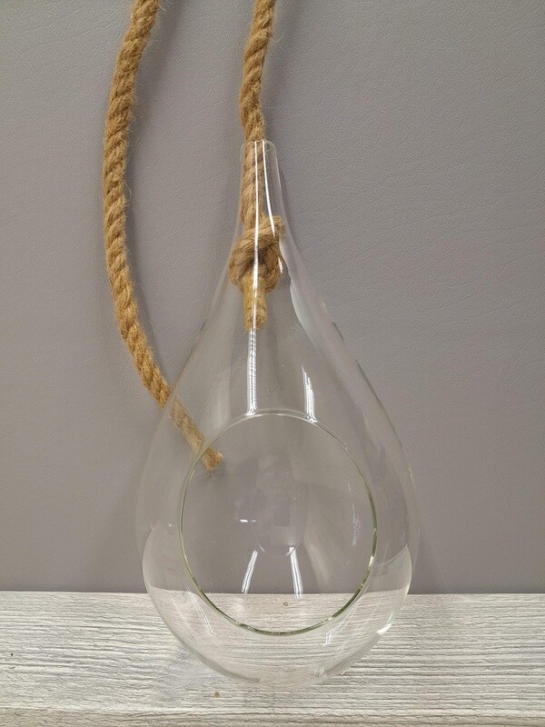9&quot; Hanging Terrarium (Glass)