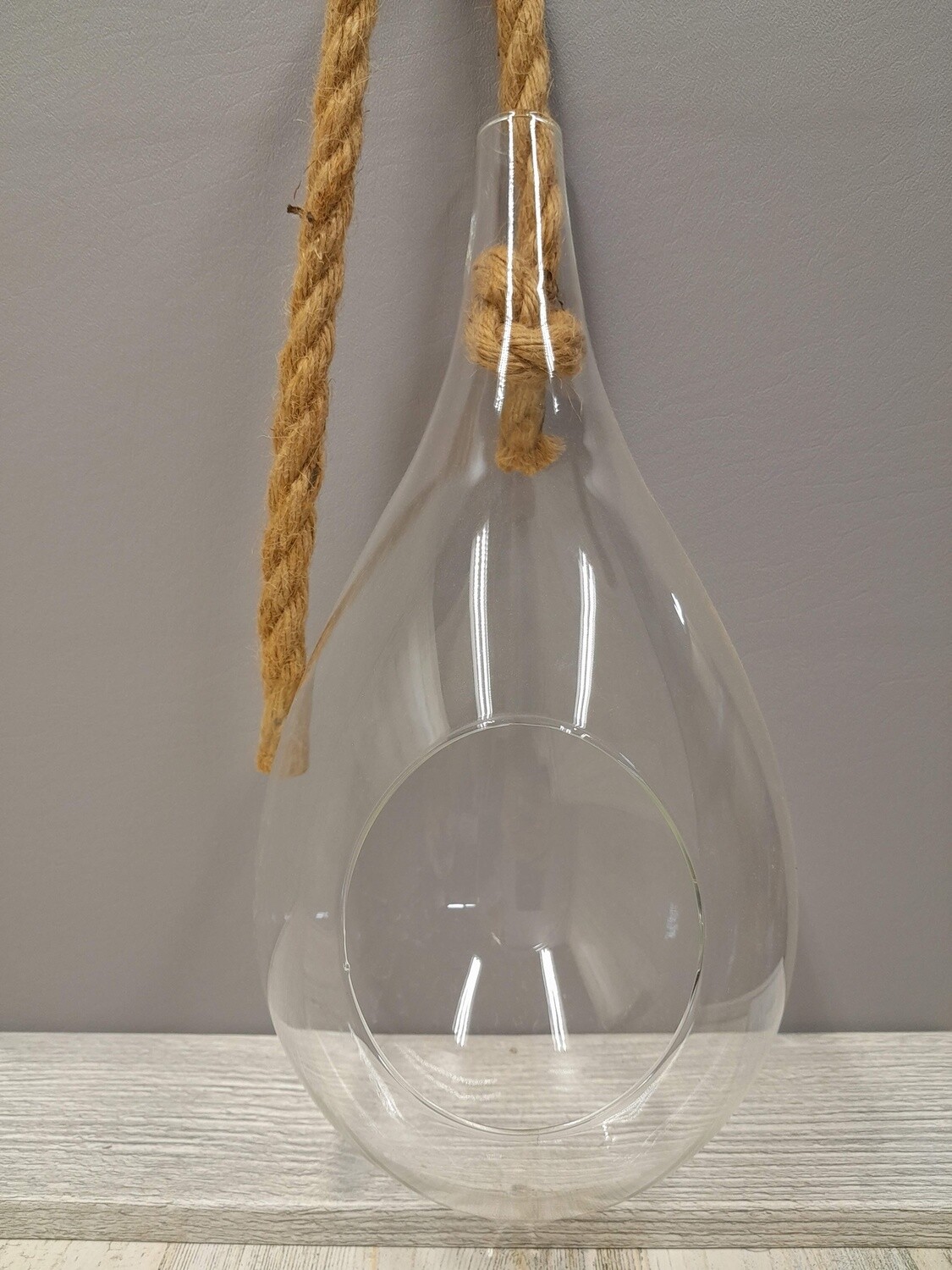 10.5&quot; Hanging Terrarium (Glass)