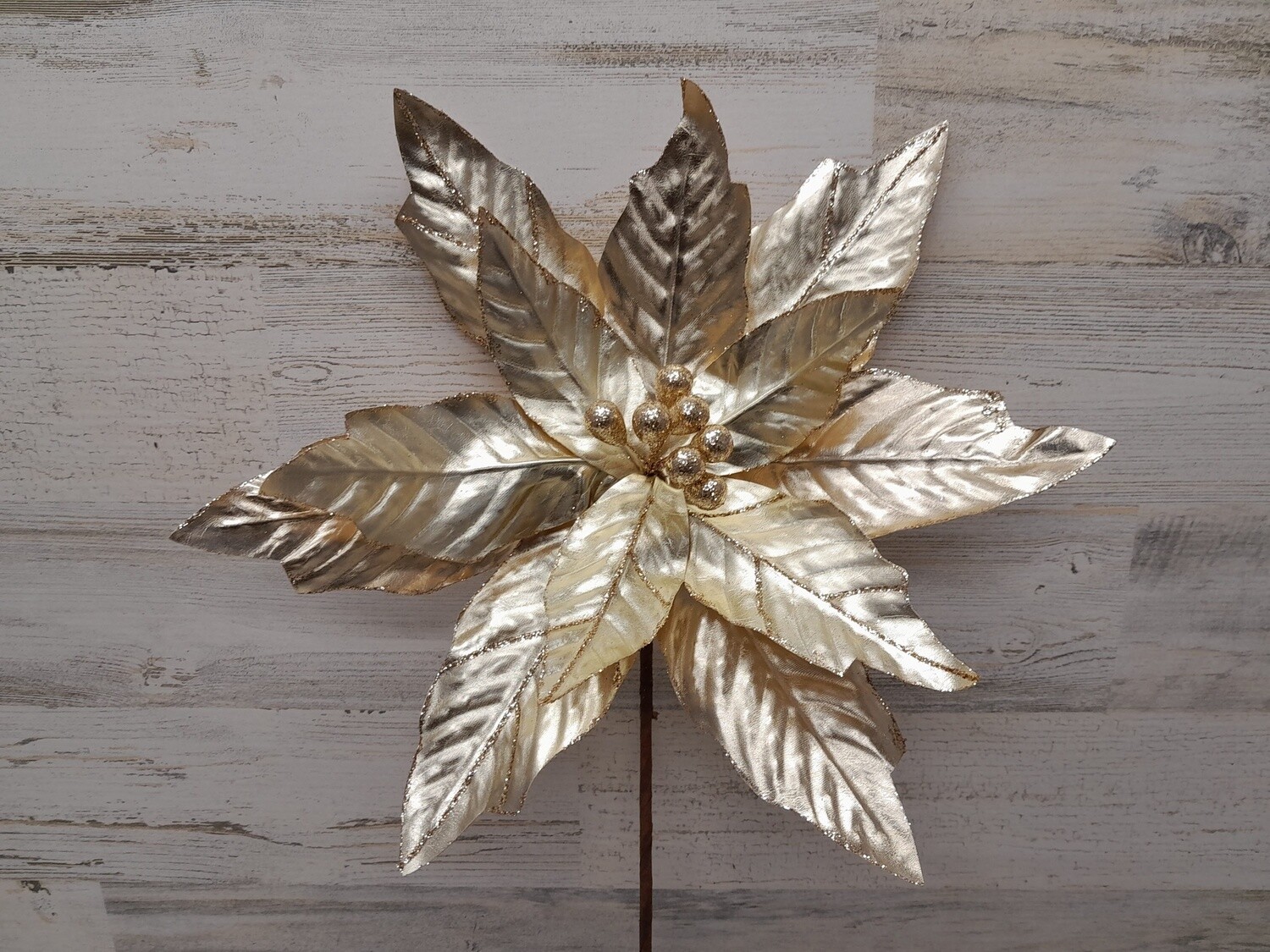 20&quot; Metallic Poinsettia Champagne