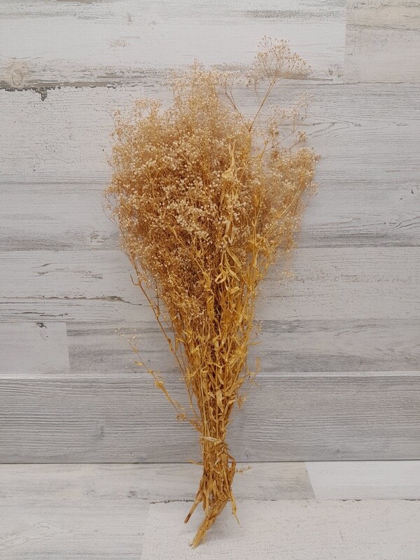 24&quot; Dried Mini Gypso Bundle Blonde