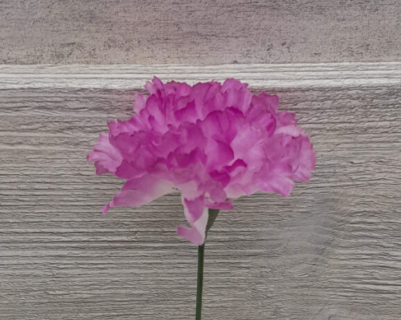 7" Carnation Pick w/3.5" Head Violet/White 7" Carnation Pick w/3.5" Head Violet/White