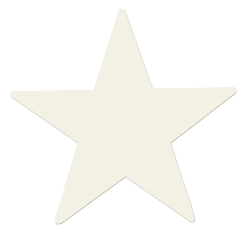 5&quot; Foil Star White
