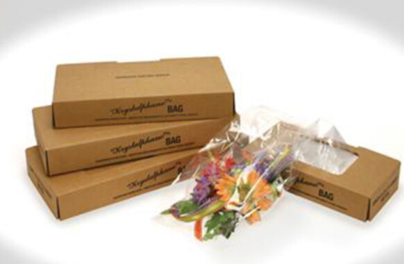 100pc 4&quot;x2.75&quot;x7&quot; Cellophane Bag Clear